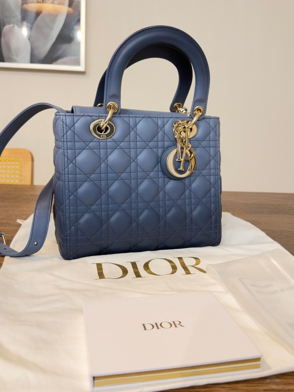 Christian Dior Medium Lady Dior RARE 2021 Gradient Ombré Cannage Lambskin NWOT